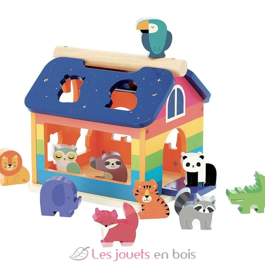 Maison des formes Arc-en-ciel - Vilac