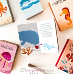 Ma Petite Bibliothèque La mer - Sassi Junior