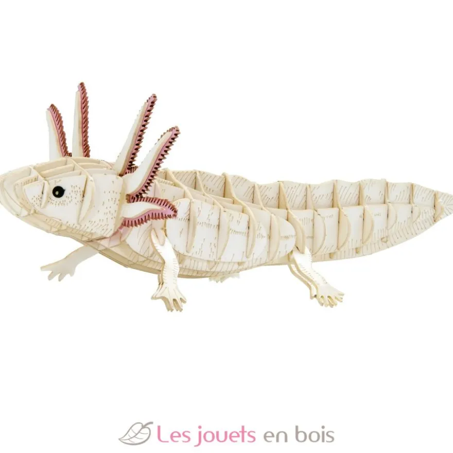 Maquette 3D en papier Axolotl blanc - Fridolin