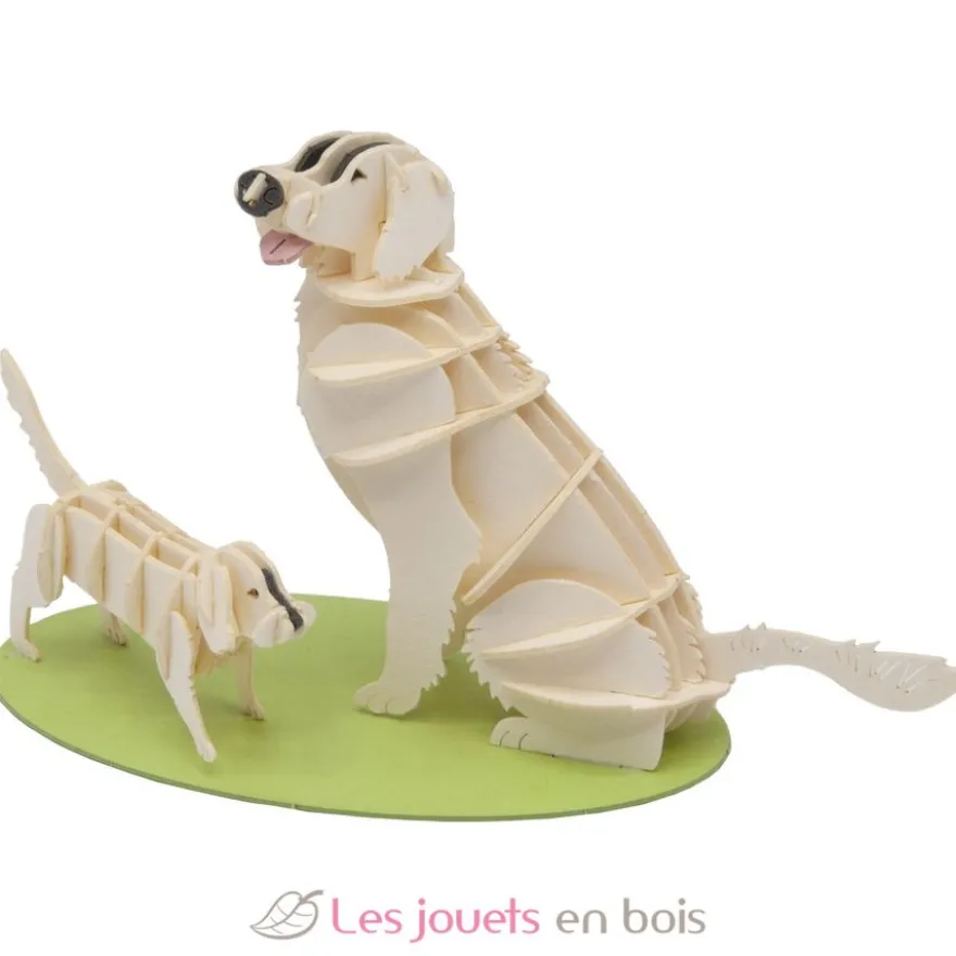 Maquette 3D en papier Golden Retriever - Fridolin