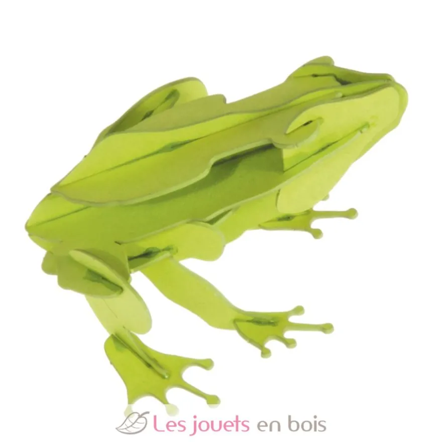 Maquette 3D en papier Grenouille verte - Fridolin