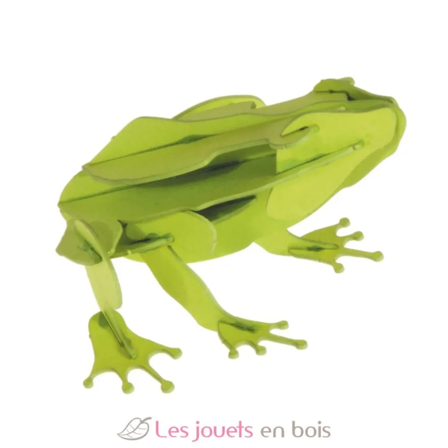 Maquette 3D en papier Grenouille verte - Fridolin