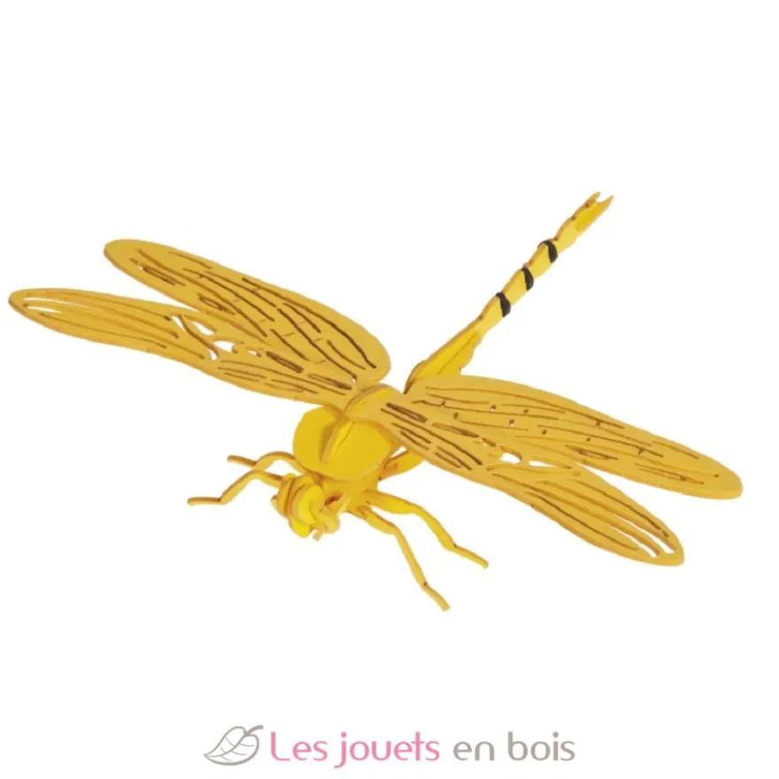 Maquette 3D en papier Libellule - Fridolin