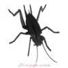 Maquette 3D en papier Lucane noire - Fridolin