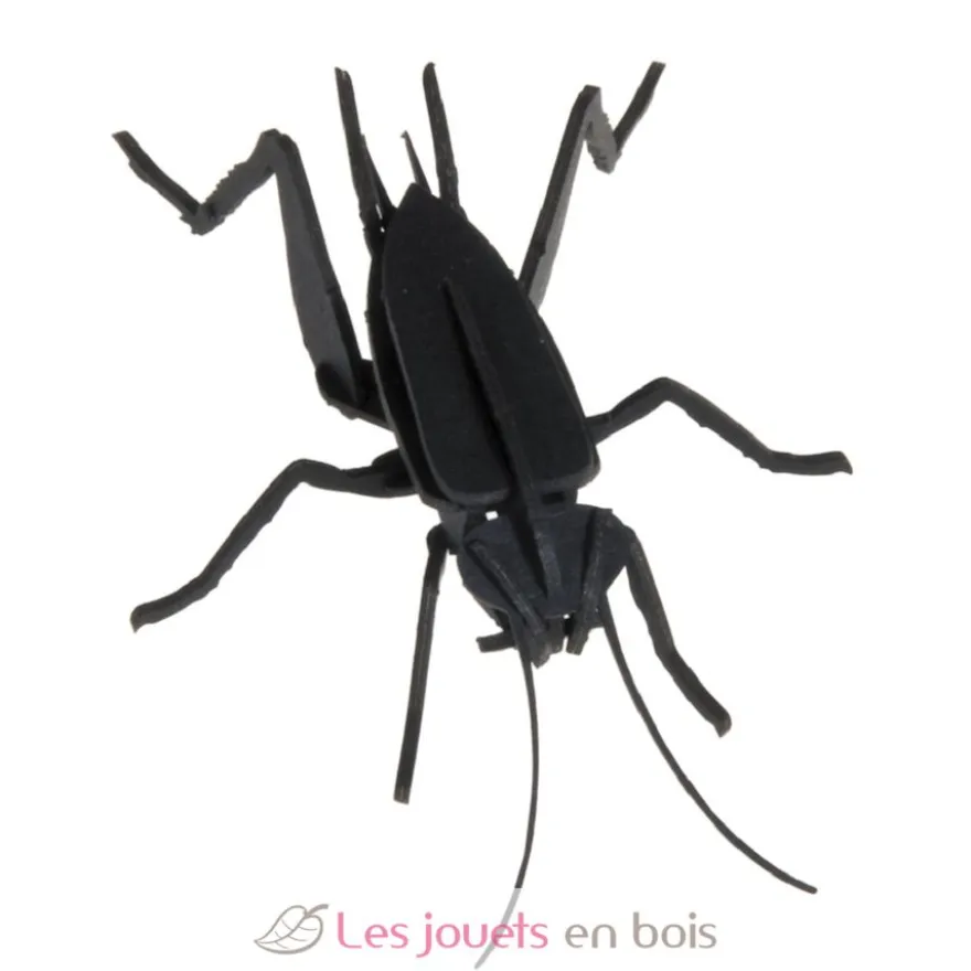 Maquette 3D en papier Lucane noire - Fridolin