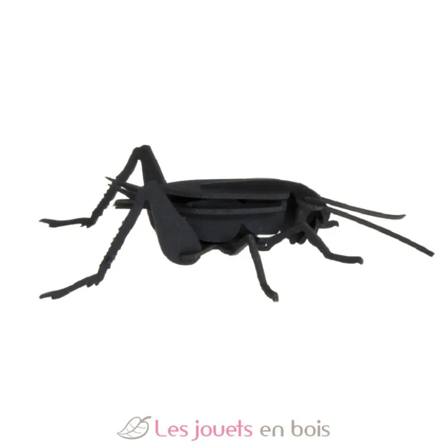 Maquette 3D en papier Lucane noire - Fridolin
