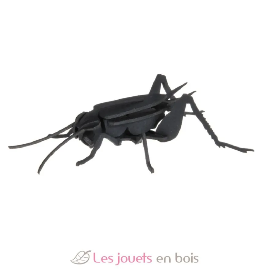 Maquette 3D en papier Lucane noire - Fridolin
