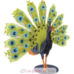 Maquette 3D en papier Paon - Fridolin