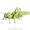 Maquette 3D en papier Sauterelle verte - fridolin