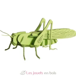 Maquette 3D en papier Sauterelle verte - fridolin
