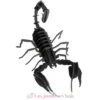 Maquette 3D en papier Scorpion noir - Fridolin