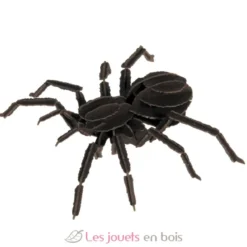 Maquette 3D en papier Tarentule noire - fridolin