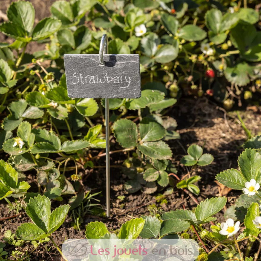 Marqueur de plantes en ardoise sur tige - Esschert Design
