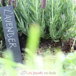 6 marqueurs de plantes en ardoise avec crayon de cire - Esschert Design
