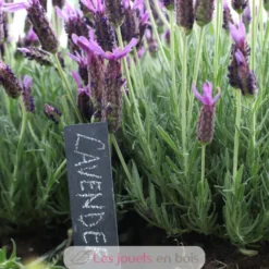 6 marqueurs de plantes en ardoise avec crayon de cire - Esschert Design