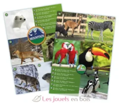 Maxi Jumelles - Buki France