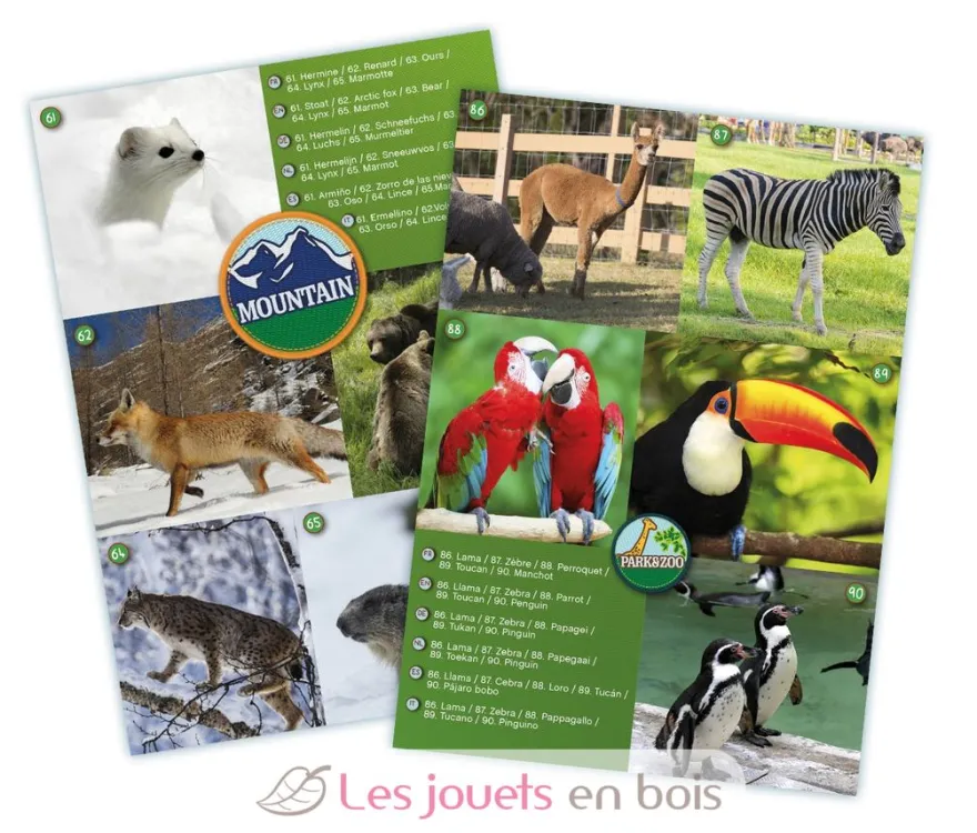 Maxi Jumelles - Buki France