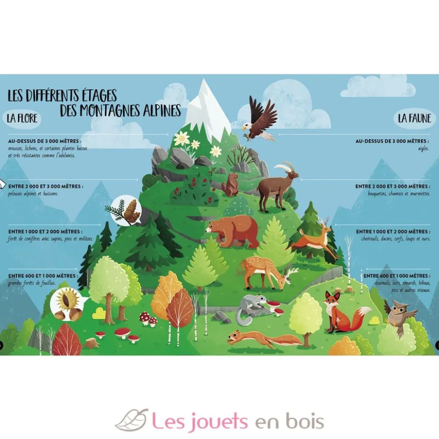 Méga Atlas de la Terre - Sassi Junior