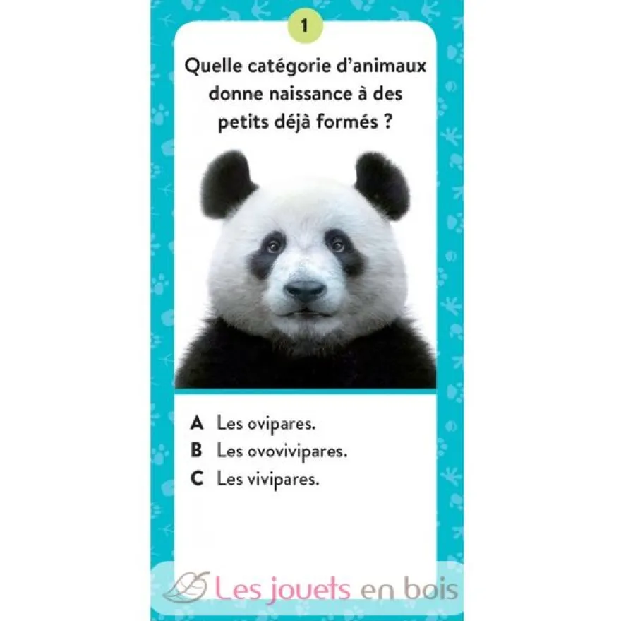 Méga Atlas des Animaux - Sassi Junior