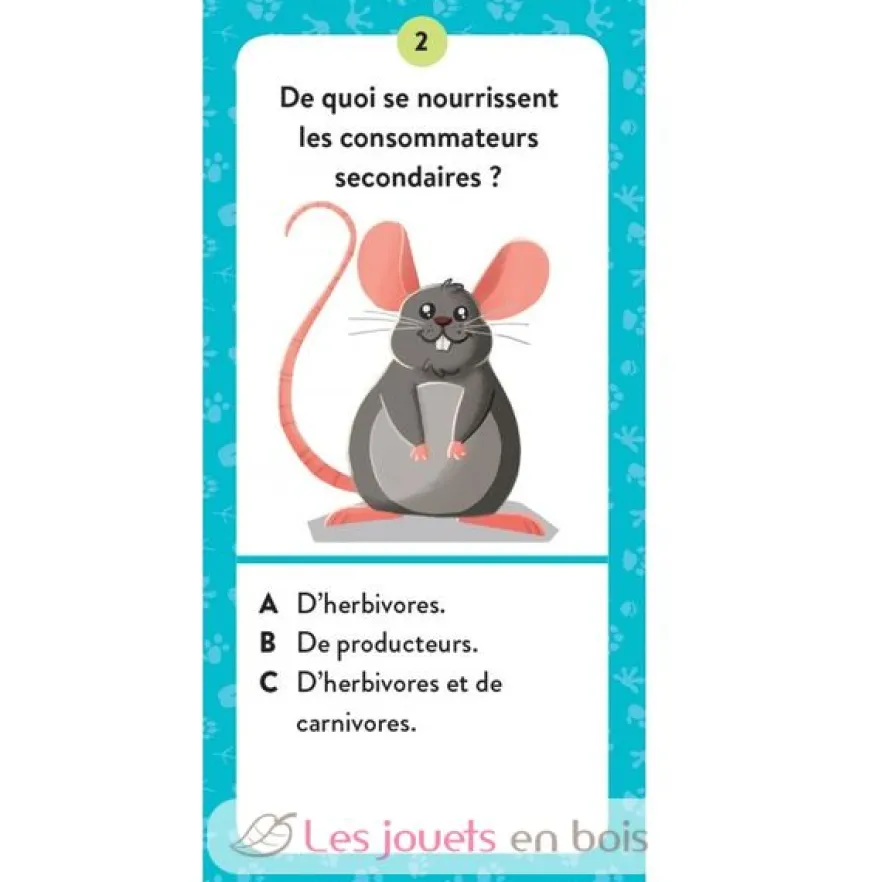 Méga Atlas des Animaux - Sassi Junior
