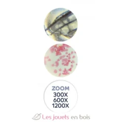 Microscope 40 expériences - A partir de 8 ans - Buki