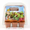 Mini-Serre Fraisiers - Radis et Capucine