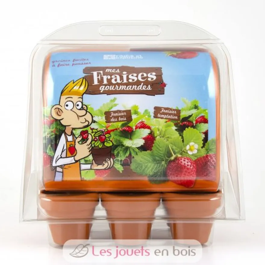Mini-Serre Fraisiers - Radis et Capucine