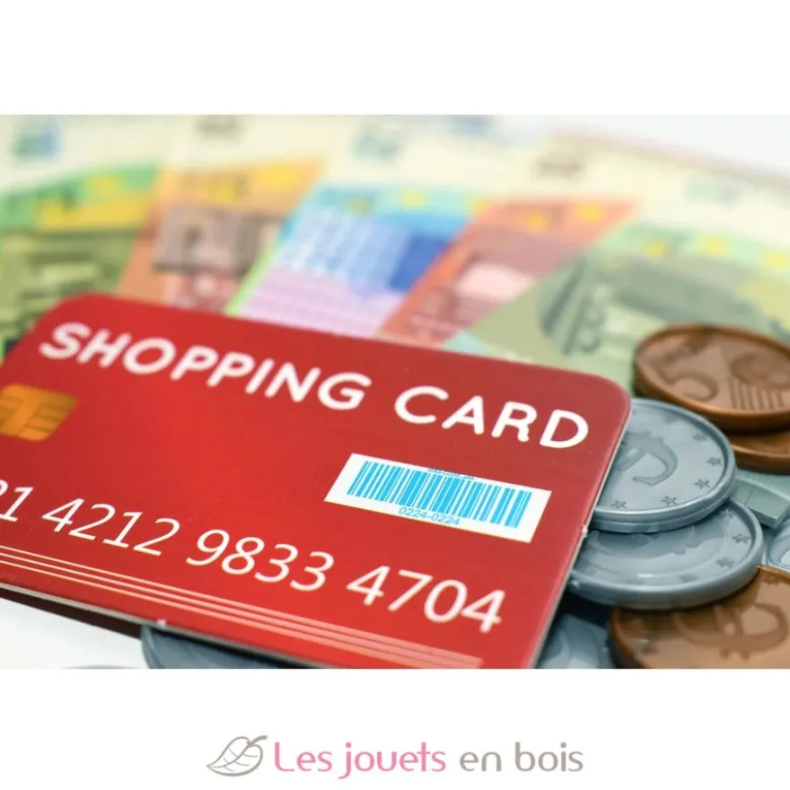Monnaie factice en euros pour jouer - Plastique, papier, carton - Tanner