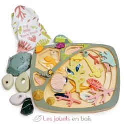 Mon petit bassin rocheux - Tender Leaf Toys