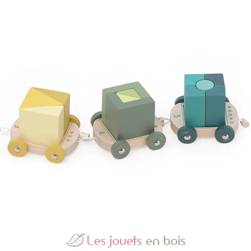 Mon petit train d'éveil multicolore en bois - Vilac
