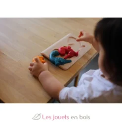 Mon premier puzzle - Dinosaure - Plan Toys