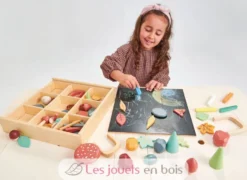 Mon Sol Forestier - Tender Leaf Toys