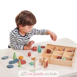 Mon Sol Forestier - Tender Leaf Toys
