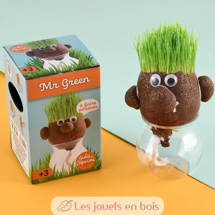 Mr GREEN - Tête à pousser - Radis et Capucine