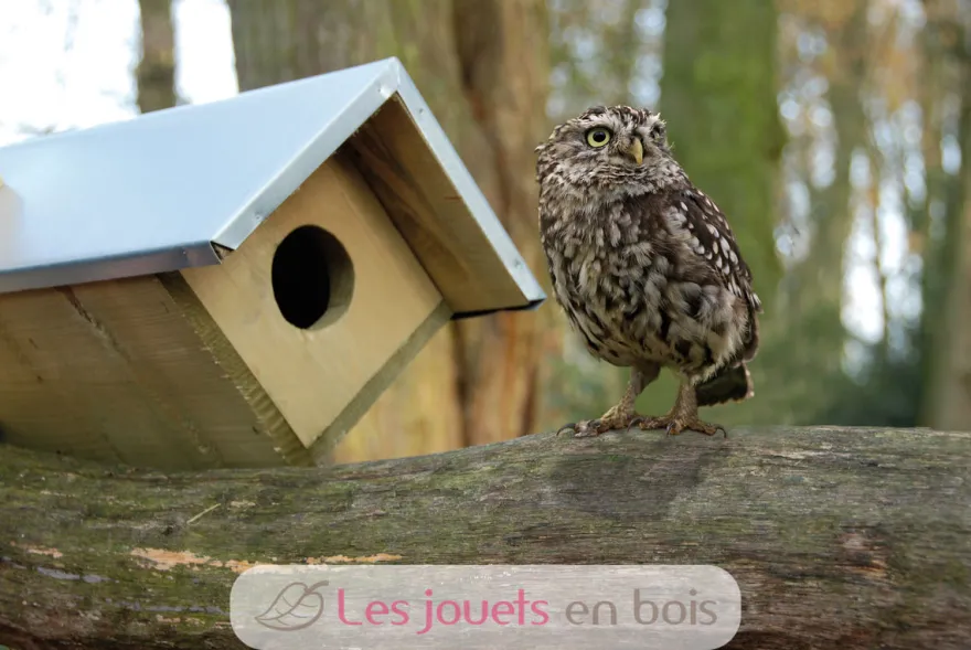 Nichoir chouette chevêche - Esschert Design