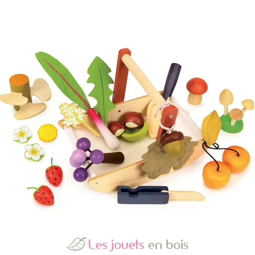 Panier cueillette sauvage - Tender Leaf Toys