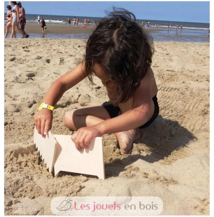 5 peignes à sable en bois - Speelbelovend