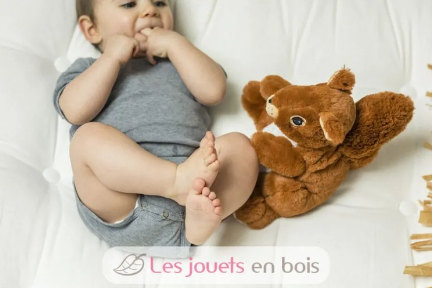 Peluche Bouillotte Ecureuil marron Warmies
