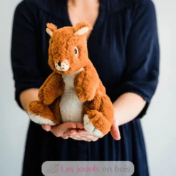 Peluche Bouillotte Ecureuil marron Warmies