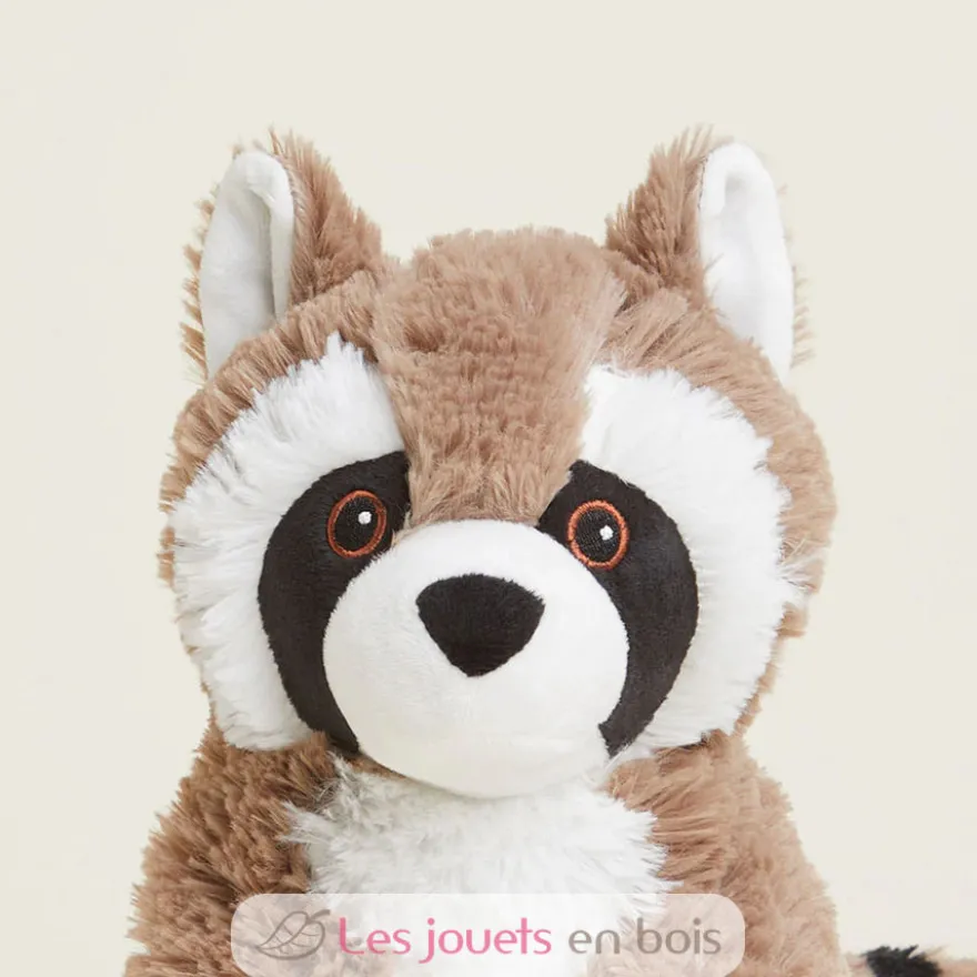 Peluche Bouillotte Raton Laveur - Warmies