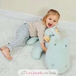 Peluche d'activité Roméo le crocodile vert clair - Nattou
