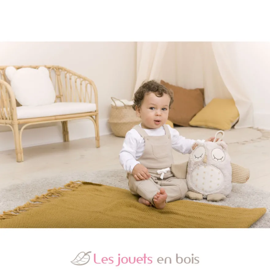 Peluche musicale chouette avec détecteur de pleurs - Cloud b