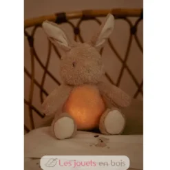 Peluche musicale et lumineuse Lapin - Little Dutch