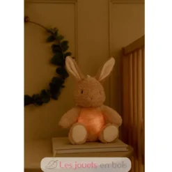 Peluche musicale et lumineuse Lapin - Little Dutch