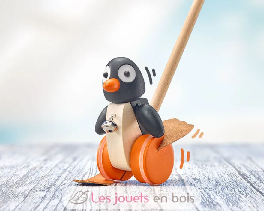 Pingo jouet à pousser - Selecta