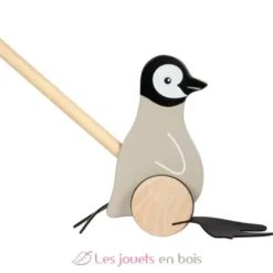 Pingouin à pousser en bois - Small foot