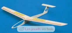 Planeur Aero-Spatz - Aero-naut
