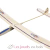 Planeur Bora - Aero-naut