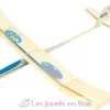 Planeur Kolibri - Aero-naut