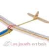 Planeur Lilienthal 31 - Aero-naut